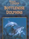 Whales and Dolphins: Bottlenose Dolphins